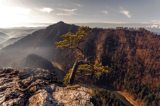 清明节祈福,星座指引你的心愿