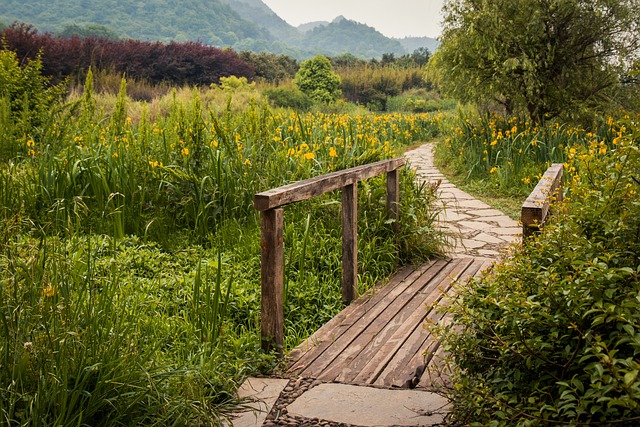 2020庚子鼠年清明节:是结婚的良辰吉日吗?