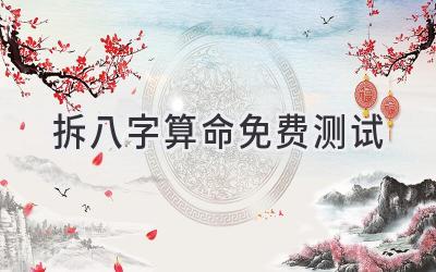 拆八字算命免费测试